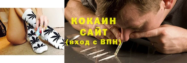 крисы Инта