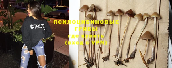 таблы Верхний Тагил